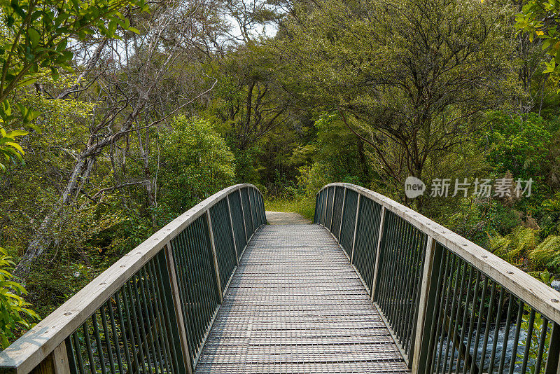 新西兰南岛塔斯曼区卡胡朗吉国家公园的Te Waikoropupu Springs步道上的木桥和人行道